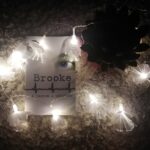 L. J. Wesley : Brooke – A testem a börtönöm